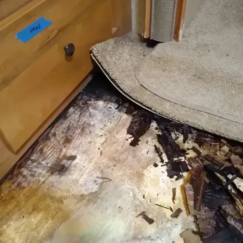 Wood Floor Water Damage in Detroit-Shoreway, OH